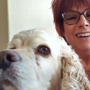 Meet your Posher, Merry